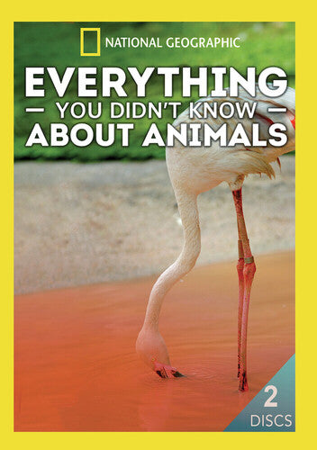 Everything You Didn't Know About Animals - Everything You Didn't Know About Animals - DVD