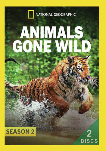 Animals Gone Wild: Season 2 - Animals Gone Wild: Season 2 - DVD