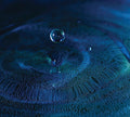 Simple Harmonic Motion - Tone Poems - Music CD