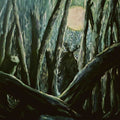 Harrow - Fallow Fields - Music CD