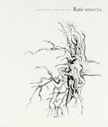 Raiz Spinetta / Various - Raiz Spinetta / Various - Music CD
