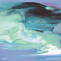 Sau Poler - Paradoxes Of Progress - Vinyl Record
