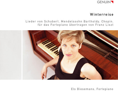 Liszt / Schubert / Chopin / Biesemans - Winterreise - Music CD