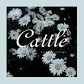 Cattle - Somehow Hear Songs - Music CD