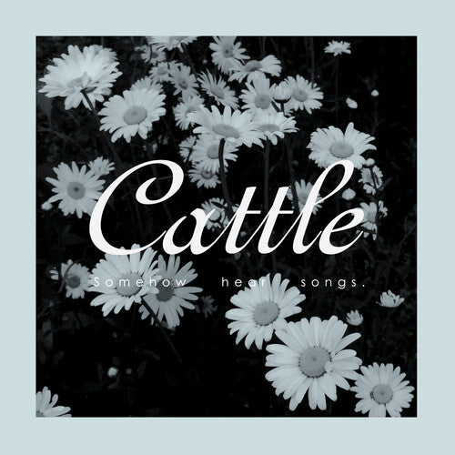 Cattle - Somehow Hear Songs - Music CD