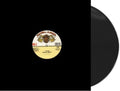 Admiral Bailey - Punany - Vinyl Record