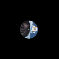 Dj Koze - All The Time - Vinyl Record