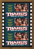 Tharus Son Of Attila - Tharus Son Of Attila - DVD