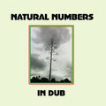 Natural Numbers - Natural Numbers In Dub - Vinyl Record