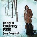 Gregorash,joey - North Country Funk - Music CD