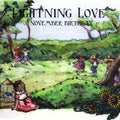 Lightning Love - November Birthday - Music CD