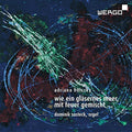 Holszky / Susteck / Ahrendt - Wie Ein Glasernes Meer Mit Feuer Gemischt - Music CD