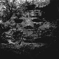 Panicsville - A Dragonfly For Each Corpse - Vinyl Record