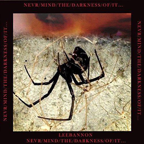 Bannon,lee - Never/mind/the/darkness/of/it - Music CD