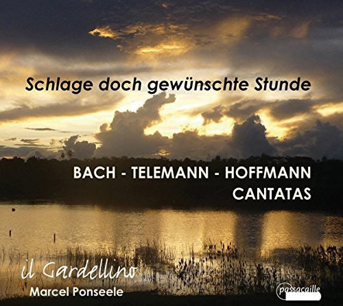Bach / Telemann / Hoffmann - Schlage Doch Gewunschte Stunde - Music CD