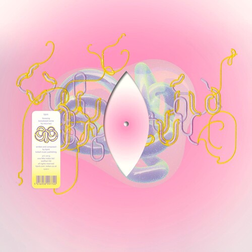 Bjork - Lionsong (kareokieijd Remix By Mica Levi) - Vinyl Record