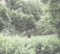 Exalt - Pale Light - Music CD