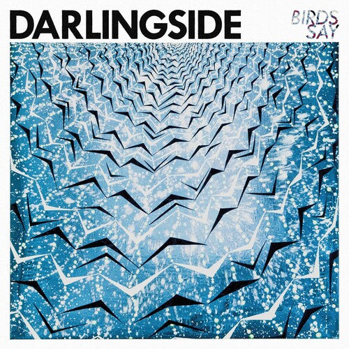 Darlingside - Birds Say - Music CD