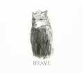 Brave - Brave - Music CD