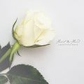 Heart In Hand - Beautiful White - Music CD