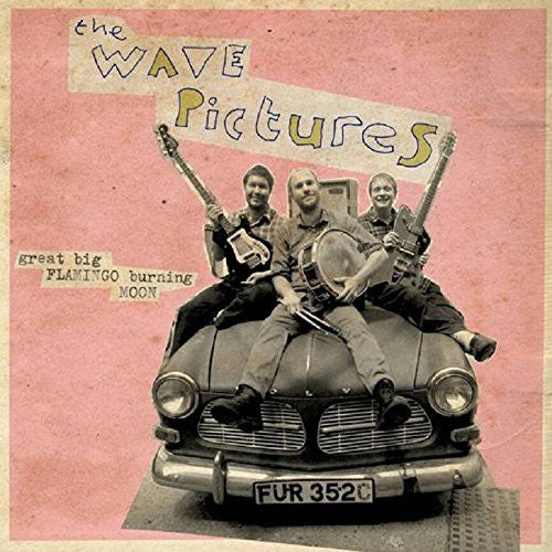 Wave Pictures - Great Big Flamingo Burning Moon - Music CD