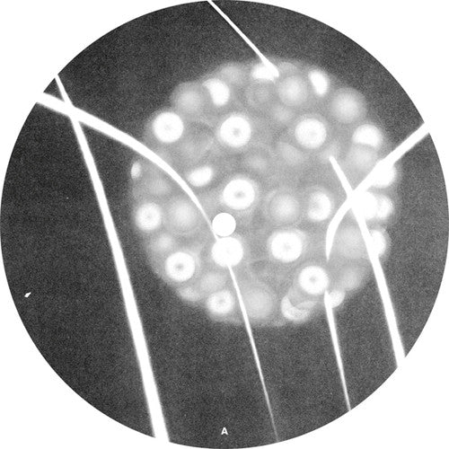 Function - Recompiled Extractions - Vinyl Record