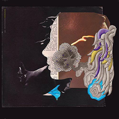 Dirty Sound System - Dirty French Psychedelics - Vinyl Record