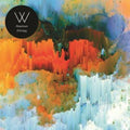 Man Without Country - Maximum Entropy - Vinyl Record