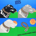 Stray Dog - While You're Down There: Limited - Music CD