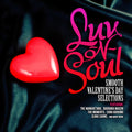 Luv-n-soul: Smooth Valentine's Day Selections / Va - Luv-n-soul: Smooth Valentine's Day Selections / Va - Music CD