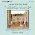 Bach / Donath / Bach Collegium Stuttgart / Rilling - Cantats Bwv 208 / Hunting Cantata - Music CD