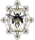 Ohhms - Bloom - Music CD