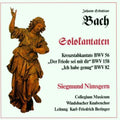 Bach,j.s. / Windsbacher Knabenchor - Solo Cantatas: Kreuzstab - Music CD