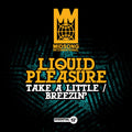 Liquid Pleasure - Take A Little / Breezin' - Music CD Single