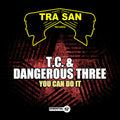 T.c. & Dangerous Three - You Can Do It - Music CD Single