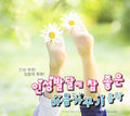 Good Music & Nature Sounds / Various - Good Music & Nature Sounds / Various - Music CD