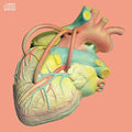 Kiha & Faces - Heart Of Man 3 - Music CD