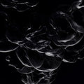 Gaiser - False Light - Vinyl Record