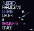 Parmegiani,alberto Quintet - Under A Shimmery Grace - Music CD