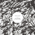 Shauf,andy - Bearer Of Bad News - Music CD