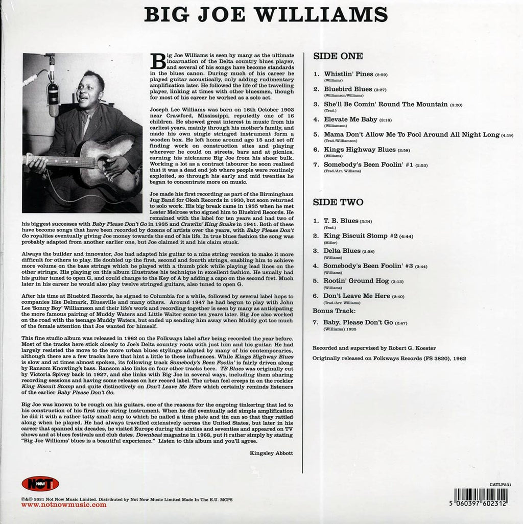 Big Joe Williams - Big Joe Williams And His Nine String Guitar (180g) Vinyl Record