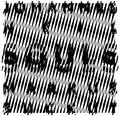 Heil,johannes / Suckut,markus - Souls - Vinyl Record