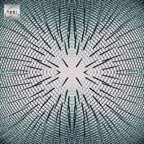 Null - Almost - Vinyl Record