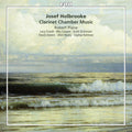 Holbrooke / Plane / Gould / Cooper / Dickinson - Clarinet Chamber Music - Music CD