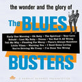Blues Busters - Wonder & Glory Of The Blues Busters - Music CD