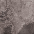Multicast Dynamics - Scandinavia - Vinyl Record
