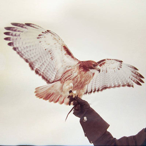 Airis,jm - Wild Birds - Vinyl Record