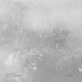 Steinbruchel - Parallel Landscapes - Music CD