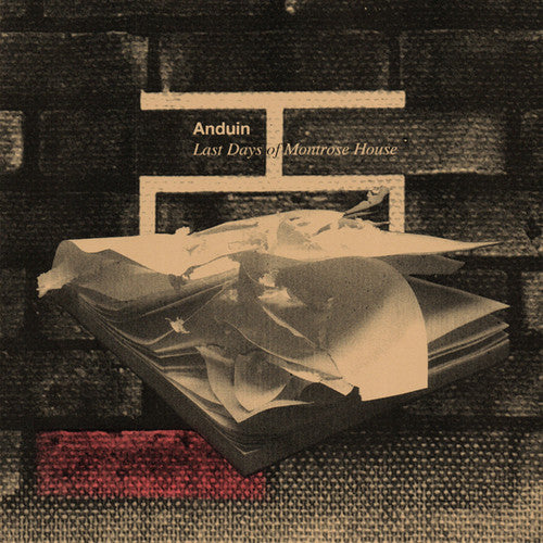 Anduin - Last Days Of Montrose House - Vinyl Record