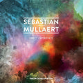 Mullaert,sebastian - Direct Experience - Vinyl Record